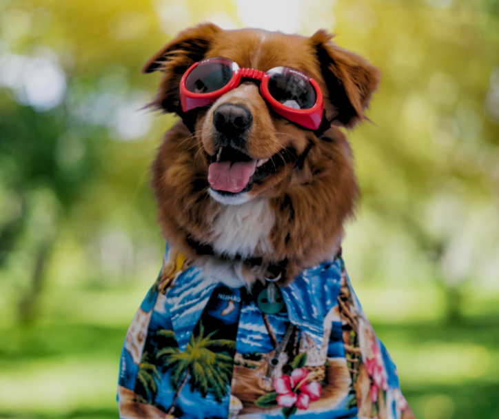 Pets & Pet Trivia